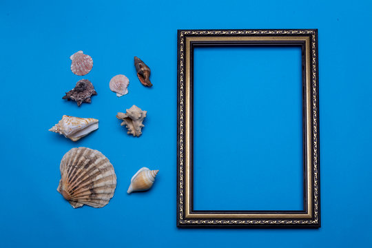 Frame and shells on a blue background. mock-up