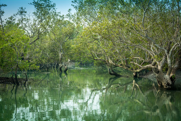 Sundarban, West Bengal, India