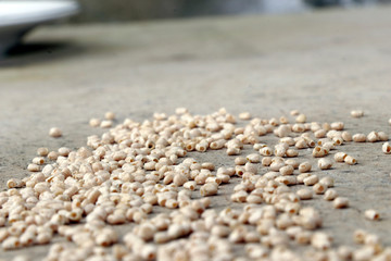 Sementes de goiaba na industria