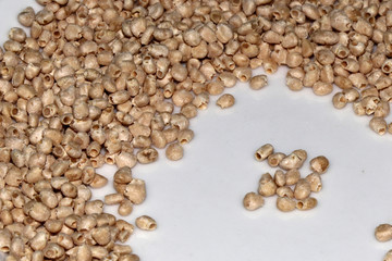 Sementes de goiaba nas  industrias