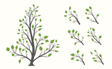 Fototapeta premium Blooming tree with a set of isolated branches with green leaves and berries on a light background