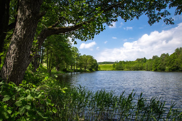 niewielkie polodowcowe jeziorko na suwalszczyźnie w słoneczny letni dzień © Adam