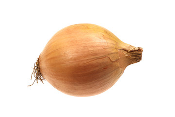 Onion isolated on a white background. Vegetable.