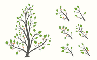 Blooming tree with a set of isolated branches with green leaves and berries on a light background
