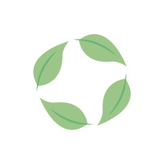 leafs plant ecology isolated icon