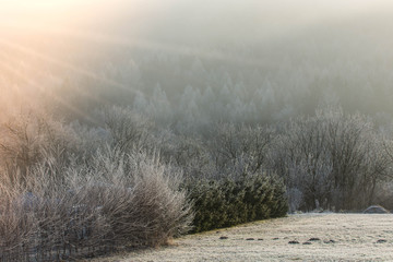 Obraz na płótnie Canvas frosty landscape