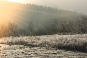  frosty landscape