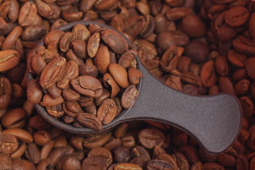 Brown plastic coffee scoop on roasted arabica coffee beans