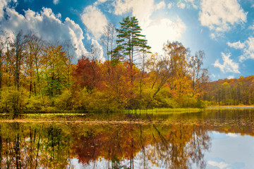 Obraz premium autumn landscape with lake