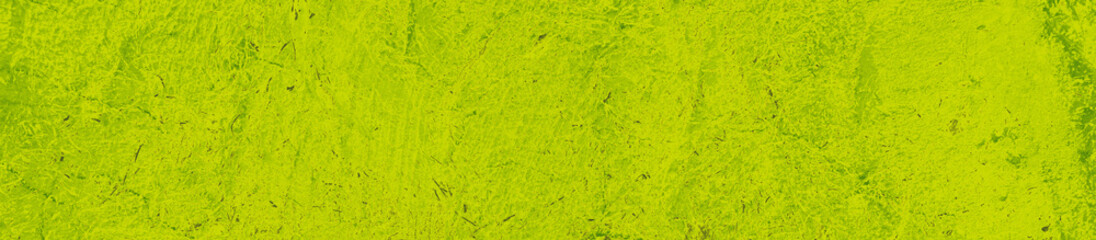 abstract lime and green colors background for design