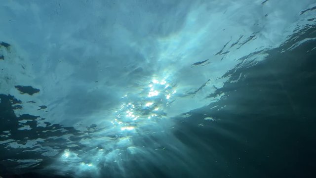 A slow motion underwater view of sunlight as a seal swims by.