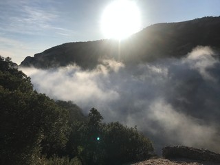 Niebla en la montaña