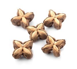 Star Bean Inca isolate on white background