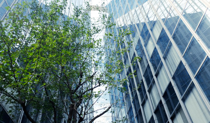 Fototapeta na wymiar modern glass and steel office buildings.