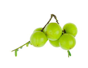 Indian Gooseberry on white background