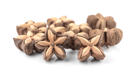 Star Bean Inca isolate on white background