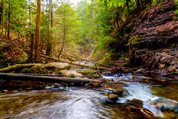 beautiful stream winding down the forest with light peaking through the trees 