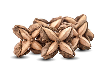 star bean isolated on white background