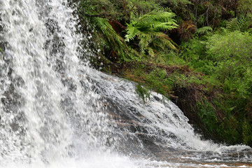 A side view of Weeping Rock in the Blue Mountains after heavy rain