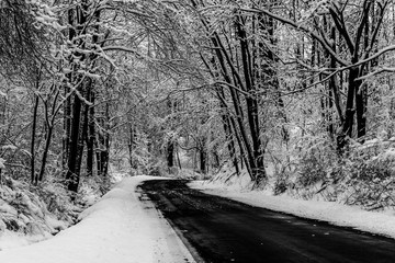 black and white snowy road scene in Pennsylvania 