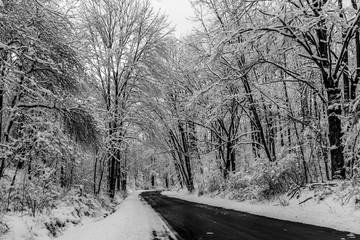 black and white snowy road scene in Pennsylvania 