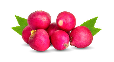 radish isolated on white background.