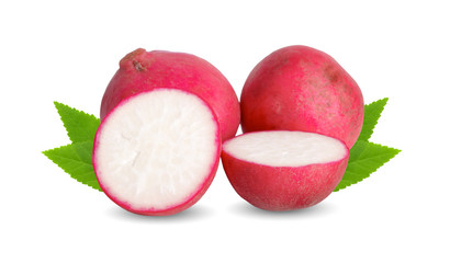 radish isolated on white background