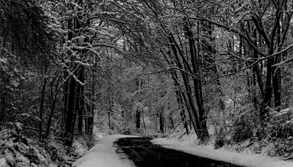 black and white snowy road scene in Pennsylvania 