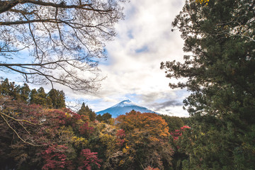 富士山と紅葉