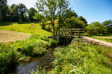 Fototapeta na wymiar Wooden bridge over a creek in a nature park