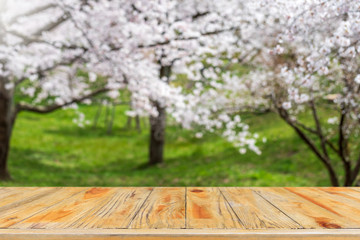 Naklejka na ściany i meble Empty wood table top and blurred sakura flower tree in garden background with vintage filter - can used for display or montage your products.