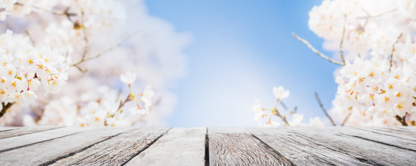Empty wood table top and blurred sakura flower tree in garden background with vintage filter - can...