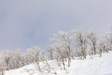 森吉阿仁スキー場