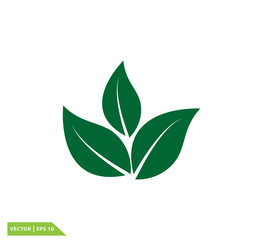 Leaf icon vector logo template