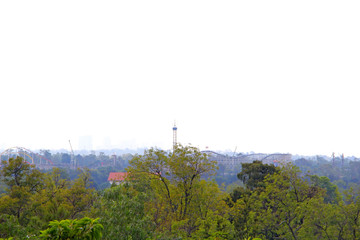 Obraz premium Forest