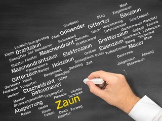 Zaun