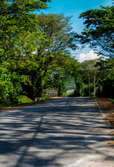 All the streams carry the wisdom of the forest to the lake, and over there, silence replaces the noise! Located at Lahat Perak