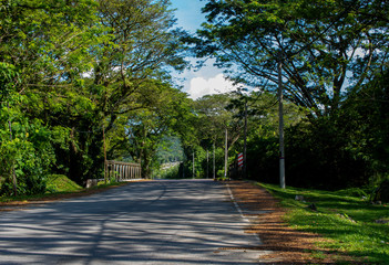 All the streams carry the wisdom of the forest to the lake, and over there, silence replaces the noise! Located at Lahat Perak
