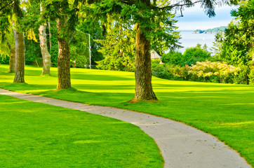 Beautiful golf course with gorgeous green and cart path.