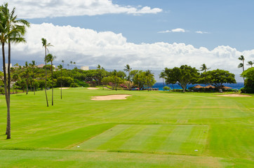 Fototapeta premium Golf place with gorgeous green and palm tree over blue sky with white clouds view