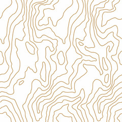 Seamless wooden fiber pattern. Light golden wood, grain texture. Dense lines. Abstract background. Vector illustration