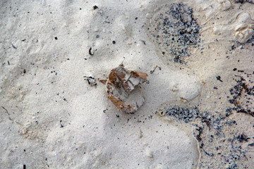 Sand