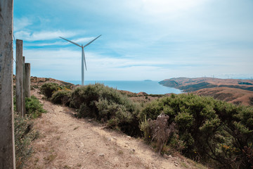 Wind farm on Makara, Wellington