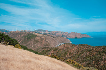Wind farm on Makara, Wellington