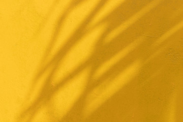 Creative tropical leaf shadow on yellow wall background