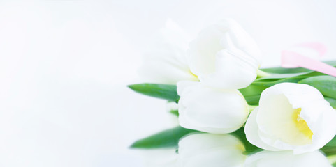 White tulips on a white background are reflected on a mirror table. Congratulation concept card for Women's Day, mother's day, spring flowers, banner, greeting. Copy space