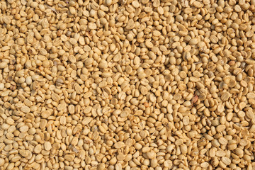 closeup unroasted green coffee beans background natural