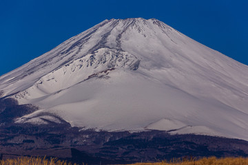 東富士演習場から青空と雪景色の富士山