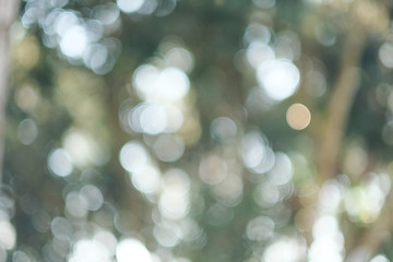 Obraz premium Light bokeh, Abstract blurred green background backdrop