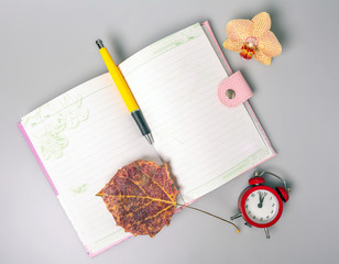 The dried sheet and pen lie on an open notebook. The alarm clock reminds of time. Office. School...